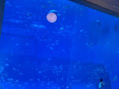 -南昌融创海世界