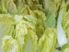 蔬菜干净-张亮麻辣烫(沈阳康平店)