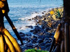 -热带雨林自然公园