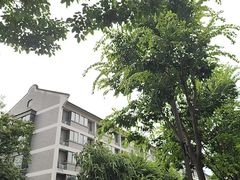 -乌镇东栅景区