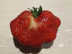 -大碗先生(万家丽店)