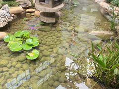 -绣园·茶食宴(湘绣博物馆店)