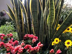 -人民公园(罗湖区)