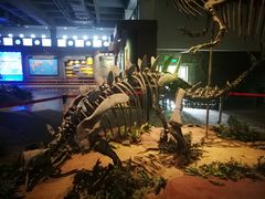 -自贡恐龙博物馆
