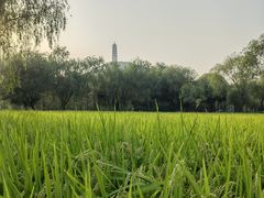 -北坞公园
