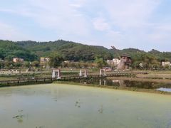 -红山村
