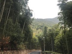 -莫干山风景区