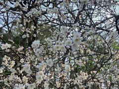 -萨莉亚意式餐厅(杭州西溪龙湖天街店)