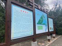 -长春市南湖公园