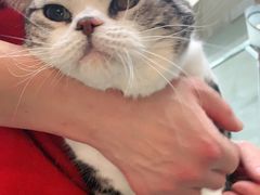 -PETKIT 小佩宠物·低压洗护·美容·寄养(安远店)