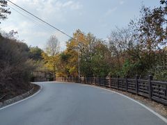 -青龙山国家森林公园