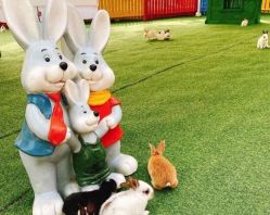 -萌宠亲子动物乐园(槐房万达店)