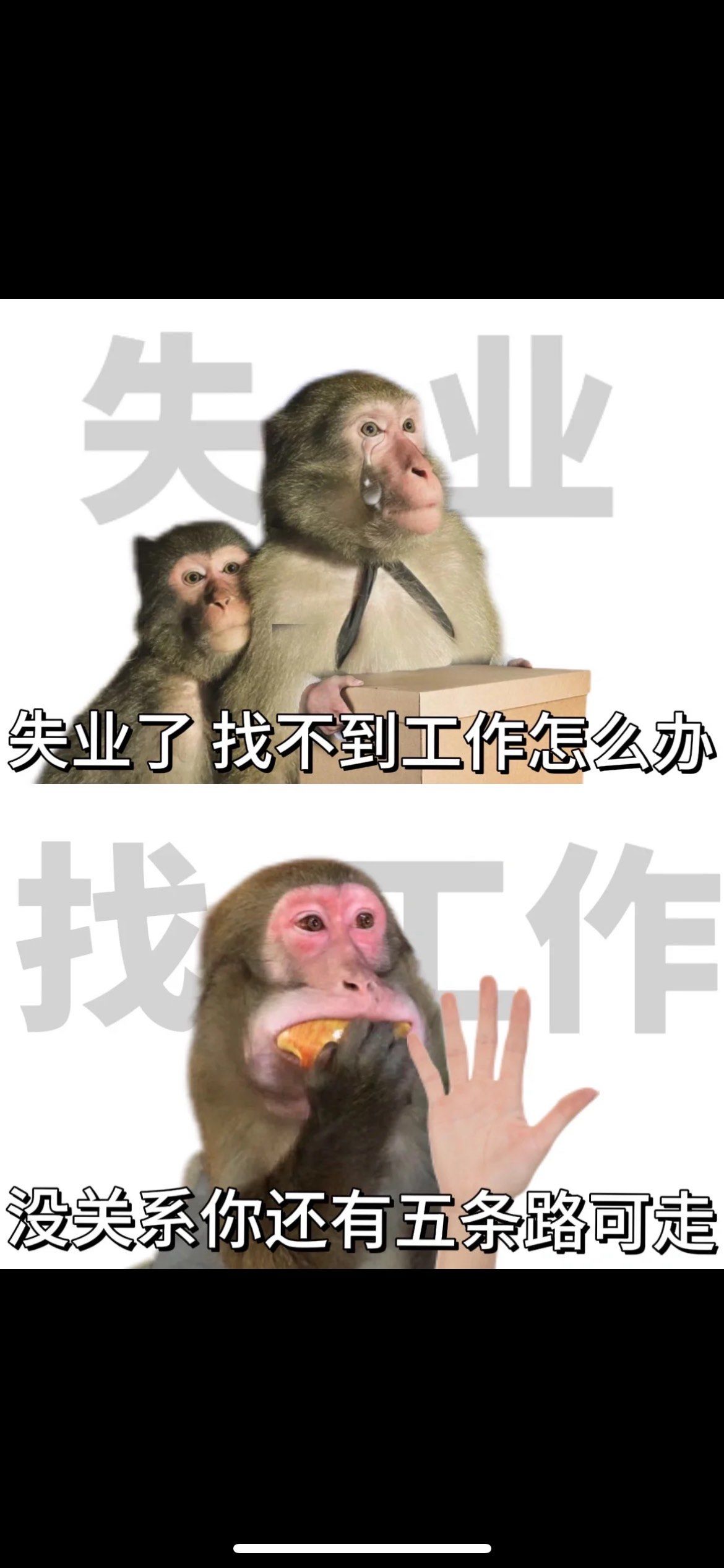 0元玩转这座城#不想上班表情包#吗喽 #打工人 
失业了找不到工作
