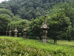 -灵隐飞来峰景区