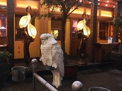 -那家小馆•北京菜•烤鸭(香山店)