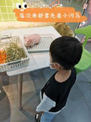 -Moni星球萌宠·小马宝莉·灵蛇·高端高阶全萌宠互动体验俱乐部(红豆国际广场店)