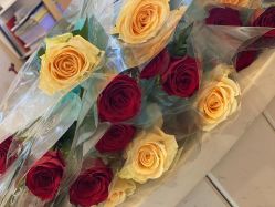 -伽点糖·瑜伽·普拉提