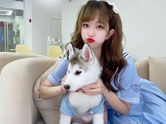 -怪兽屋·羊驼·猫咖·狗咖(俊华广场店)