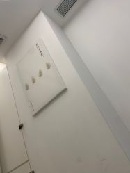 -agge蛋白医美