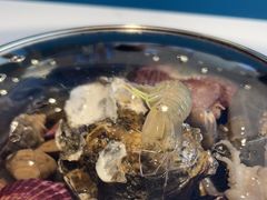 -大锅强·蒸海鲜青岛菜(金沙滩店)