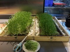 -夫妻肺片·中华老字号·正宗川菜(春熙路店)