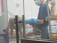 -天宠宠物医院24小时·急重症诊疗中心·全科·腔镜特色(和平分院)