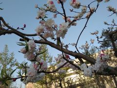 -廊坊文化艺术中心