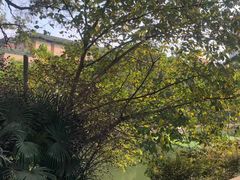 -南京钟山宾馆(江苏省会议中心)