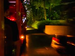 -夜间野生动物园