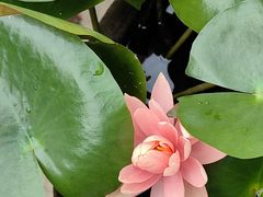 -厦门园林博览苑