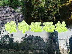 -梭布垭石林景区