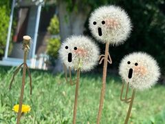 -青岛大学路小学