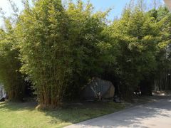 -上海市龙华烈士陵园