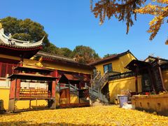 -龙寺生态园