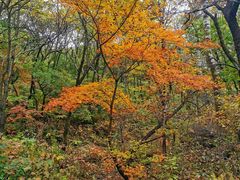 -玉渡山自然风景区