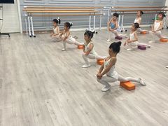 -西安小天鹅艺术团(曲江Alice店)