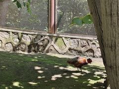 -哈尔滨北方森林动物园