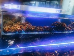 -同庆楼(天鹅酒家店)