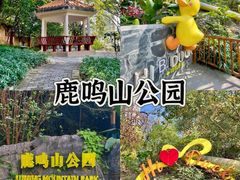 -长洲岛