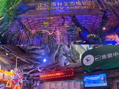 -正佳雨林生态植物园