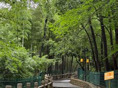 -灵岩山风景区