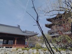 -江心屿景区