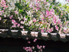 -深圳国际园林花卉博览园