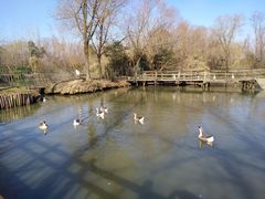 -溱湖国家湿地公园