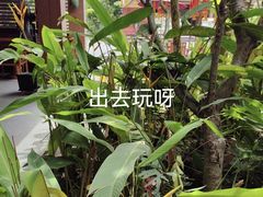 -西双版纳洲际度假酒店-曼霖轩中餐厅