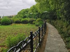 -黄兴公园