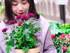 -鹿岛会员店 (龙湖三千集天街店)