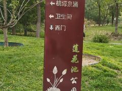 -莲花池公园