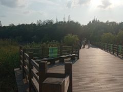 -吴淞炮台湾湿地森林公园烧烤区