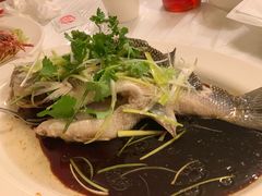 青斑-强记海鲜菜馆
